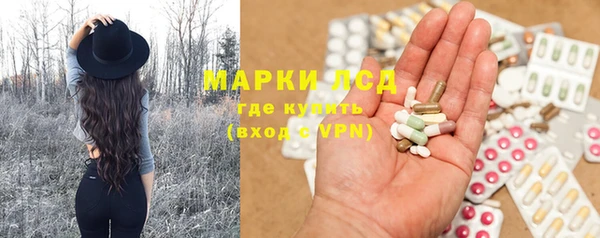 PSILOCYBIN Верхний Тагил